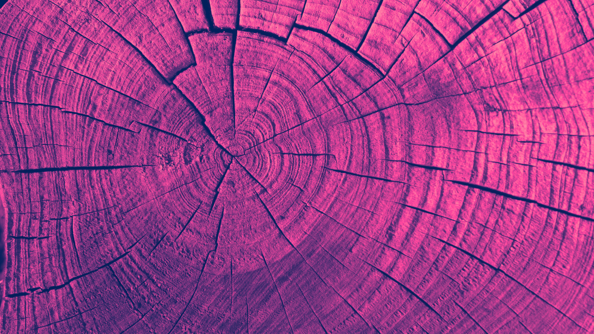 Image from article - Age-Fluid Strategies...